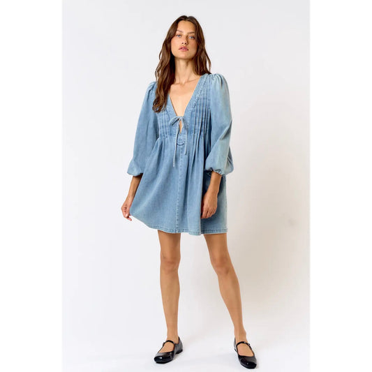 Darcy's Denim Midi Dress