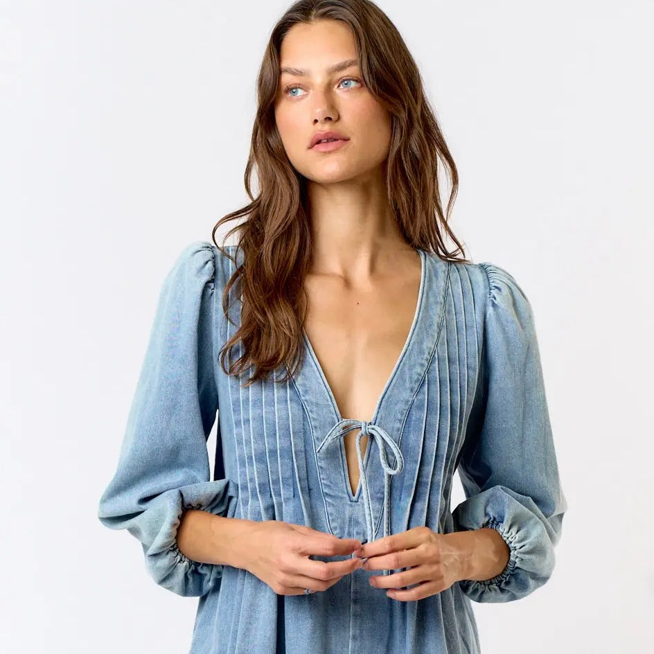 Darcy's Denim Midi Dress